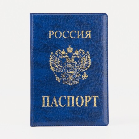 Cover for passport, blue color-1