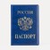 Cover for passport, blue color