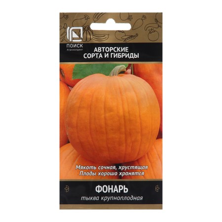Large -fruited pumpkin seeds "lantern", 10 pcs