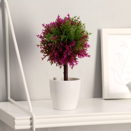 Bonsai in the pot of "leaflets-peaks" 20 cm, mix