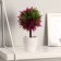 Bonsai in the pot of "leaflets-peaks" 20 cm, mix