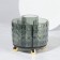 Organizer - storage stand "Green", 6 sections, d = 12.2 × 10.8 cm, green/golden color