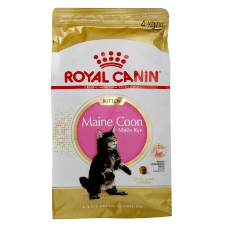 Dry food RC Kitten Main Coon for kittens of large breeds, 4 kg