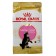 Dry food RC Kitten Main Coon for kittens of large breeds, 4 kg