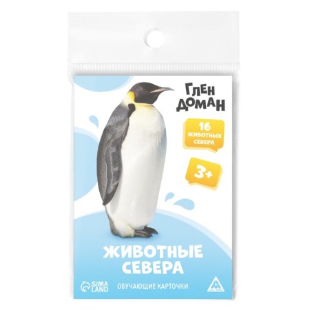 Обучающие карточки по методике Глена Домана «Животные севера», 8 карт, 3+-3