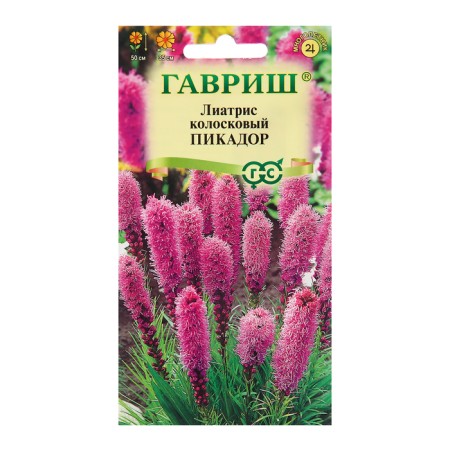 Liatris seeds "Picador", 0.05 g