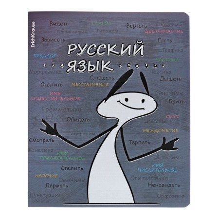 A set of subject notebooks 48 sheets, 12 pieces, Erichkrause "Chubrik", plastic cover silk-screen covers, Blok Offset 100%, information block-11