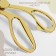 Set of scissors Gift: Close scissors 9 ", 23.5 cm, scissors embroidery" her tower "3.7, 9.5 cm, gold color
