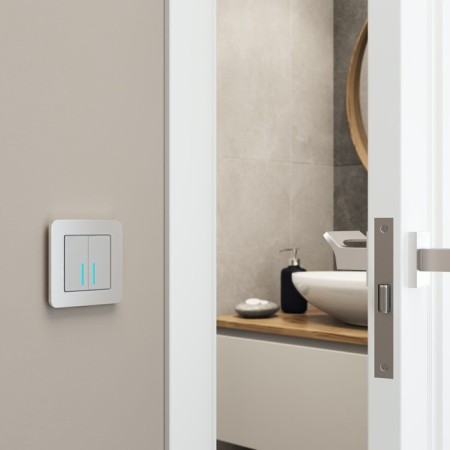 Frame W0012606, 1 Platinum socket, aluminum-2