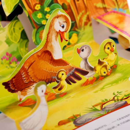 Book-paranoramka "Master duckling"-5