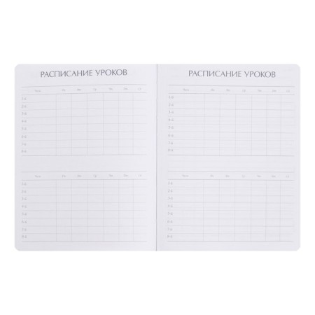 Universal diary for grades 1-11, 48 Velvet sheets, hard cover, artificial leather, thermoting, lies, block 70 g/m2, pink-4