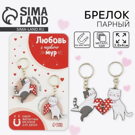Key keychain, pair on the magnet, 2 pcs "MUR", 9 x 15 cm