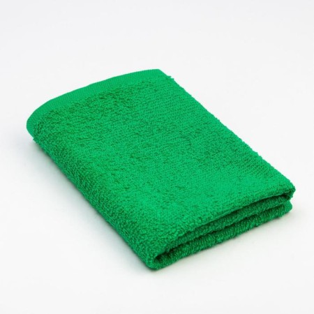 Terry napkin Universal for cleaning economy and I, Green, 100% HL