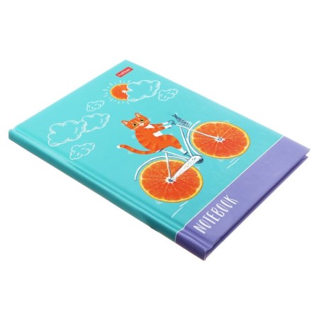 Notebook, A6, 48 sheets, in a cage, a “cat-apelsic”, glossy lamination, an offset block 60g/m2-1