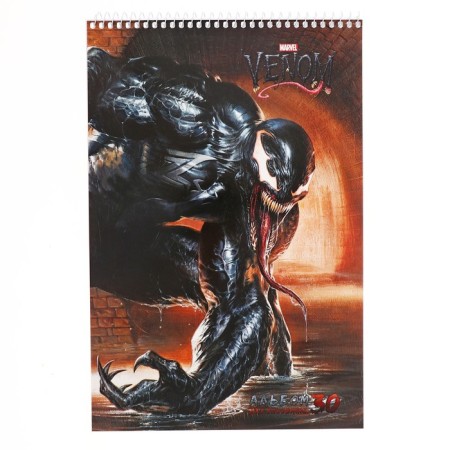 Album for drawing A4, 30 Venom sheets, covered cardboard, perforation for separation, block 100 g/m2, mix-6