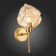 Sconces st. SL1175.301.01. Portici. 1x40 W, E14, 18x34 cm, brass color