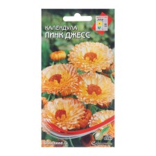 Calendula flowers 