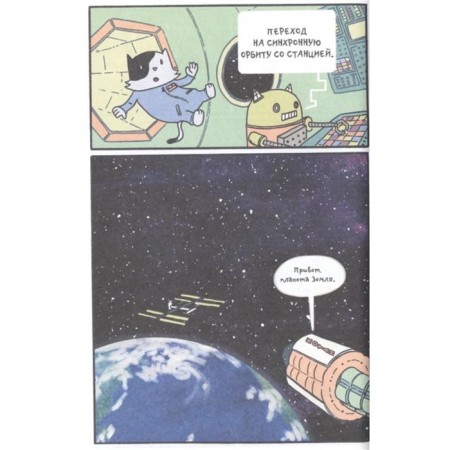 Cosmonauts cats. Cosmic station-1