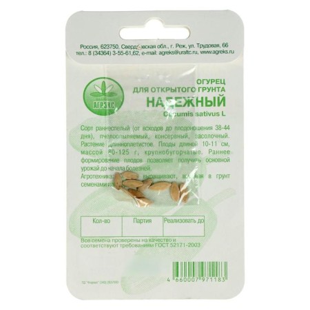 Cucumber seeds reliable 10 pcs-2