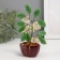 Bonsai Souvenir "Flower tree" yellow 5 flowers 7x5.2x13 cm