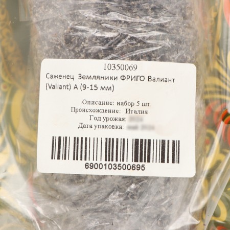 Strawberry seedlings of Frigo Valiant (Valiant) a (9-15 mm), 5 pcs-3