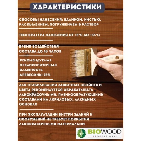 Antiseptic decorative non -industrial BioDoD DS concentrate 1: 1, 10l-2