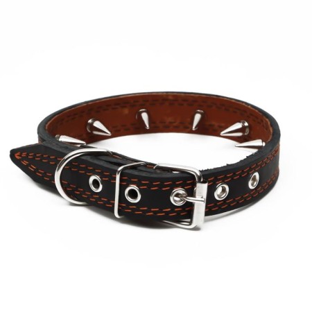 The leather collar "Strict spike", 56 x 2.5 cm, Osh 35-45 cm, black-1