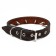The leather collar "Strict spike", 56 x 2.5 cm, Osh 35-45 cm, black