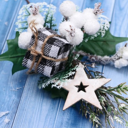 Decor "Winter Dreams" Gift to the cage Star Berries, 21 cm-1