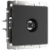 Tw-tv-terminal WL08-TV, black color