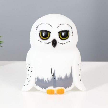 Night Owls LED from white batteries 10.5x15.5x18 cm Risalux-3