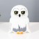 Night Owls LED from white batteries 10.5x15.5x18 cm Risalux