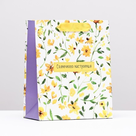 Gift package "Sunny mood", 18 x 22.3 x 10 cm