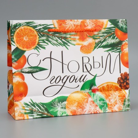 Laminated horizontal “Citrus cocktail” laminate, MS 23 x 18 x 8 cm, New Year-2