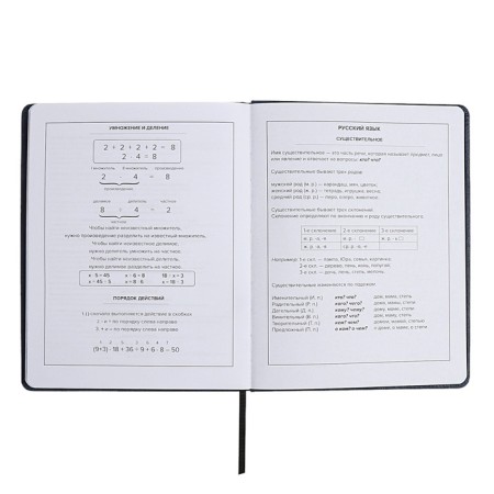 School diary for grades 1-11, fiery dragon, solid cover, artificial leather, application, pancake embossing, foil embossing, universal cheat sheet, 48 sheets, block 80g/m2-12
