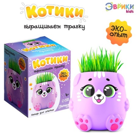 Set for experiments "Kotiki. We grow grass ", purple pot