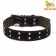 Collar combined leather/tarpaulin, dimensionless, 83 x 4.5 cm, Osh 20-70 cm, blue
