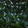 Garland “thread” 10 m dew, IP44, silver thread, 100 led, white glow, 2 modes, solar battery