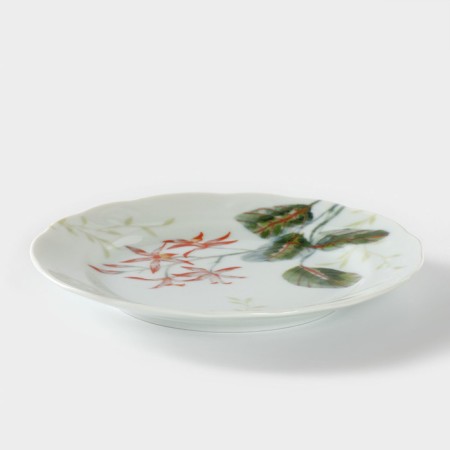 Porcelain plate "Fiona", D = 17.5 cm-1