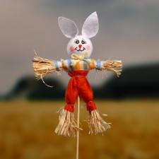 The garden scarecrow 
