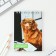 Mix of A6 notebooks, 40 liters on the crest, soft cover "Animals"