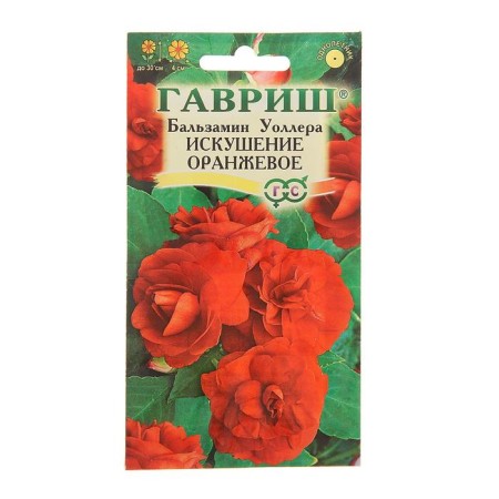Balzamin flowers "Waller's Temptation Orange" f1, o, 4 pcs.-4