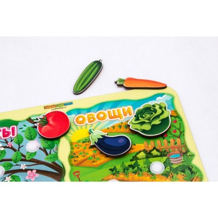 Sorter "What is the difference?" Fruits-vegetables ", on Velcro-6