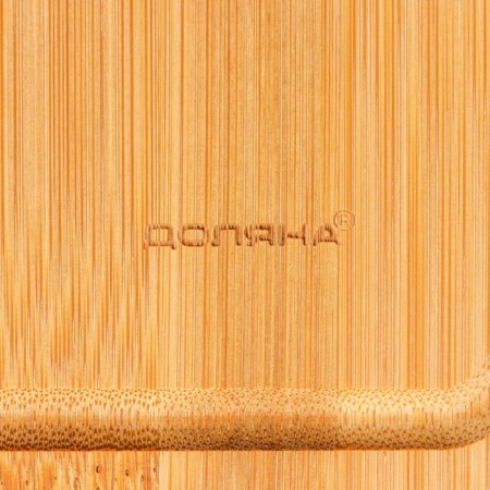 Board cutting shade "Idea", 35 × 25 cm, bamboo-9