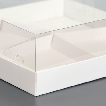 Box for mousse cakes 4 pieces, 17x17x6 white-2