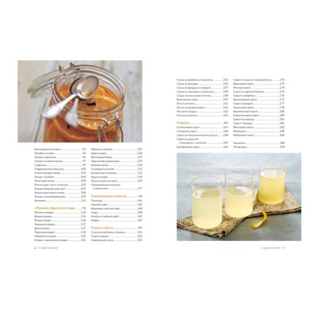 Homemade drinks. For holidays and for every day. Blen A.-2