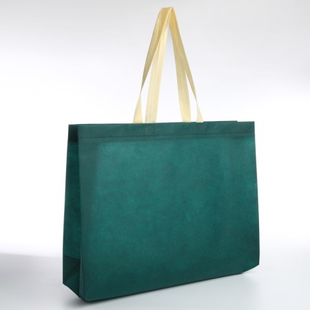 Beach bag without fastening, green color