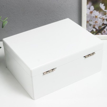 Casket wood for jewelry "Snow White" 9x16x21 cm-1