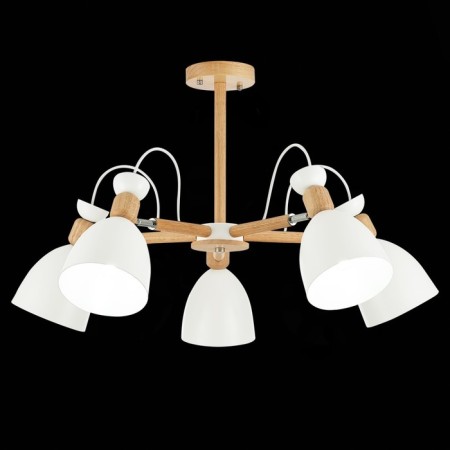 Ceiling EVOLUCE lamp. Sle103802-05. Balcamo. 5x60 watts, E27, 65x65x45 cm, color light wood, white-1
