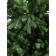 Artificial spruce Green Trees "Bavaria", Lux, 210 cm